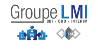 Lmi recrutement & associés