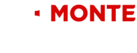 Monte cristo consulting group