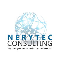 Nerytec consulting