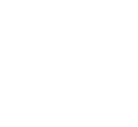 Nsp surfboards