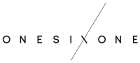 Onesixone bag