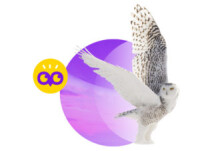 Ookpik sarl