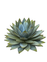 Orenzo vegetal