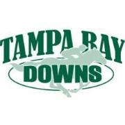 Tampa bay downs inc
