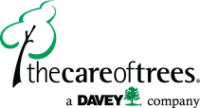 The care of trees