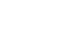 Poneys des quatre saisons