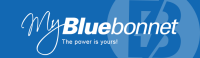 Bluebonnet electric cooperative, inc.