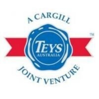 Teys services