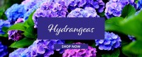 Terra greenhouses limited