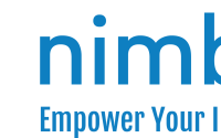 Nimble information strategies inc.