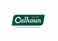 Calhoun Management