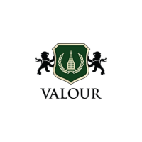Valour capital management inc.