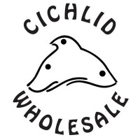 Cichlid wholesale ltd.
