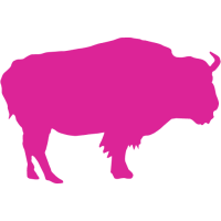 Pink buffalo films