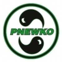 Pnewko brothers ltd