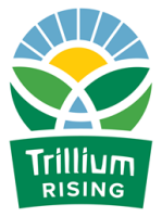 Trillium waldorf school