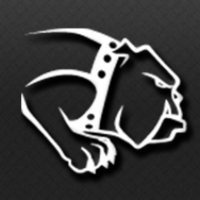 Bulldog energy group