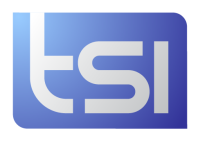 Terminal systems international