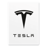 Tesla rp
