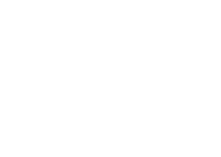That franchise group inc