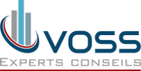 Voss experts-conseils inc.