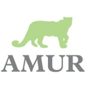 Amur equipment finance