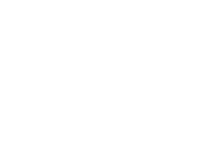 The andrews organization inc.