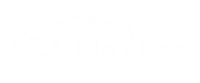 Canadian auto repair holdings inc.