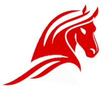 Spiritual equine connection