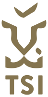 Creative tsi (technologies and security inc)