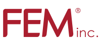 Fem international