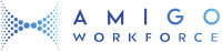 Ameego workforce solutions