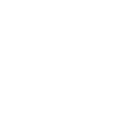 Lewis county