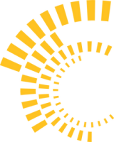 Sunel securities