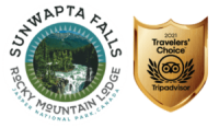 Sunwapta falls rocky mountain lodge