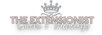 The extensionist salons