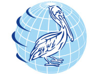 Pelican energy consultants