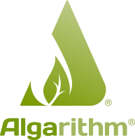 Algarithm