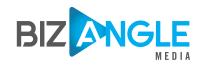 Bizangle media