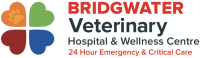 Bridgwater veterinary hospital & wellness center