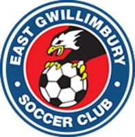 East gwillimbury soccer club