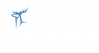 Feller financial group inc