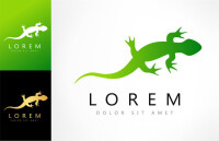 Lézard créatif canada
