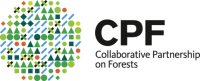Major groups partnership on forests