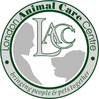 London animal care centre