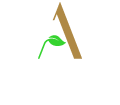 The anvita group