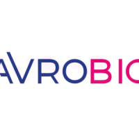 Avro group inc.
