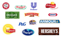 Beer snacks international