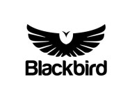 Blackbird geoscience ltd.