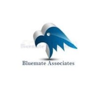 Bluemate associates inc